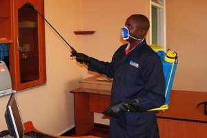 Reliable Pest Control/Fumigation Services in Kenya